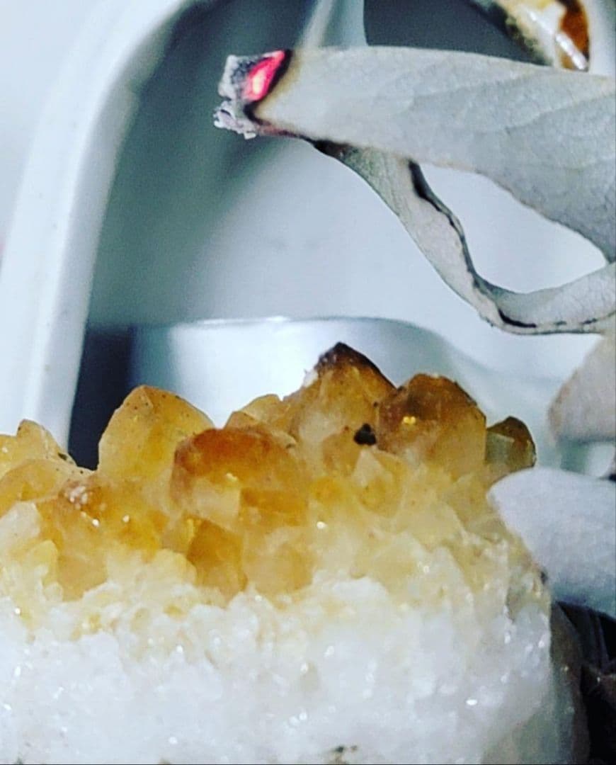 業務用価額☆無農薬アウトレットリーフホワイトセージ1KG箱入りお香浄化