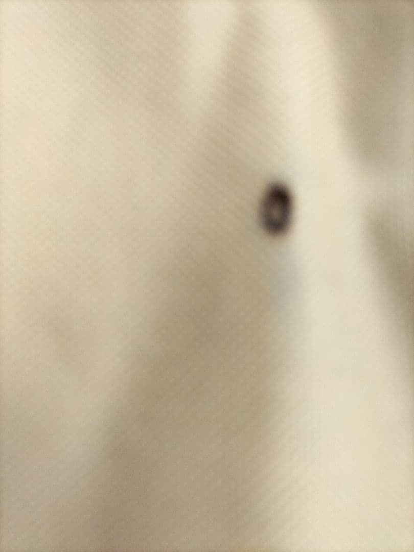 Coleman ファイヤーサイドレイチェア(コヨーテブラウン)　2脚セット