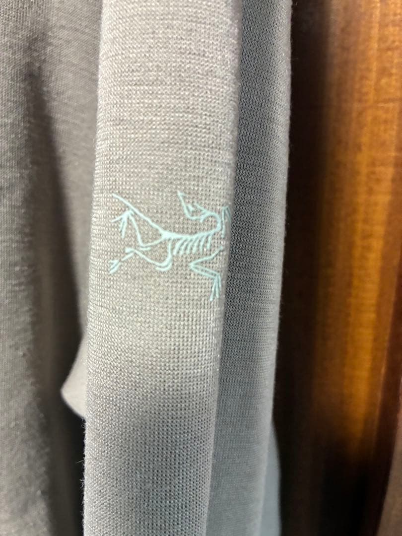 アークテリクス　ダレンフリースプルオーバー　メンズM ベージュ　dallen