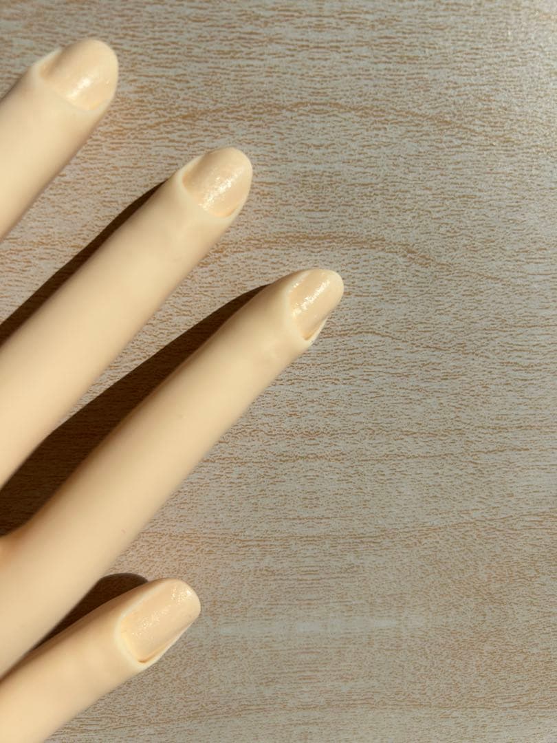 ネイルアート練習用ハンド・チップセット （JNEC認定モデルハンド）