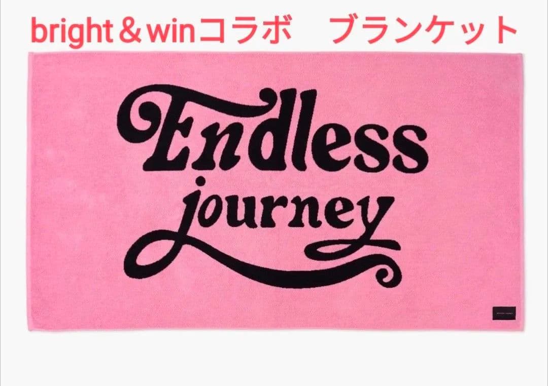 【入手困難】ENDLESS JOURNEY ASTRO stuffs 2枚セット