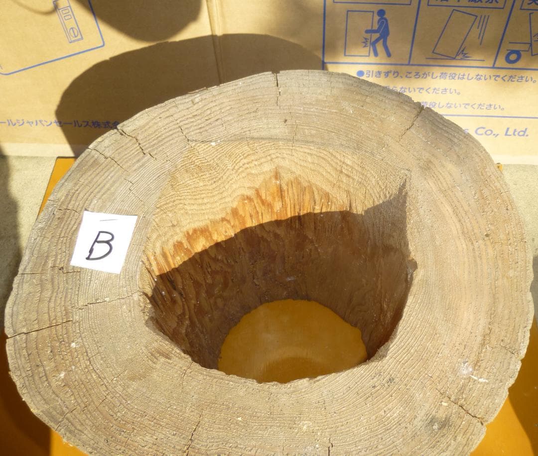 【多群入居実績あり】大寸、杉丸太（B）