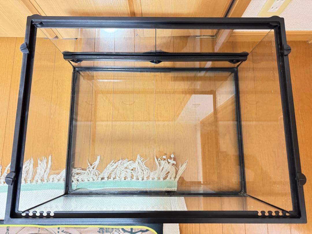 GEX（ジェックス）グラス テラリウム 6030 PT2604