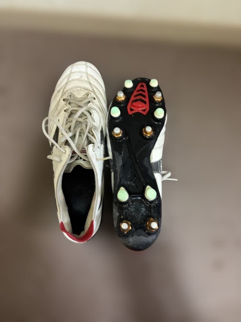 Mizuno モレネオ3 取り替え式 27cm