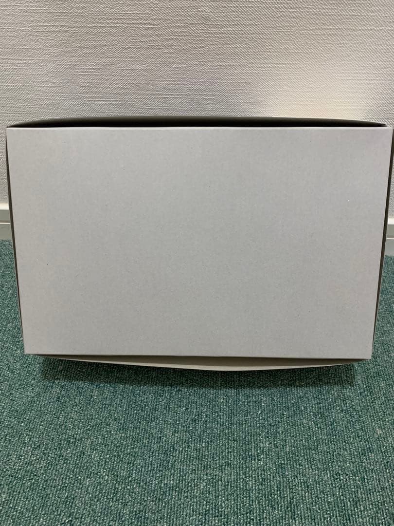 劇場限定 HG 高機動型ザクII リミテッドクリアver. 暁の蜂起 新品未開封