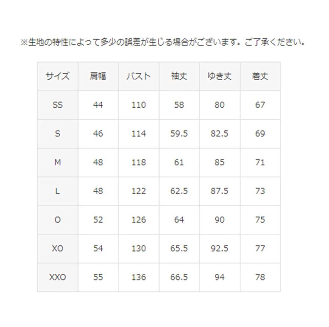 DESCENTE デサント　メンズスキーウェア　ルミナスホワイト　新品未使用