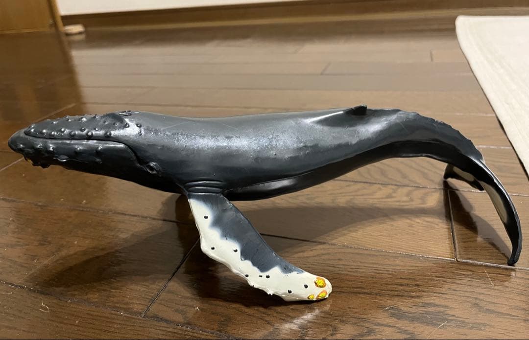 鯨　フィギュア　模型　ザトウクジラ　置物