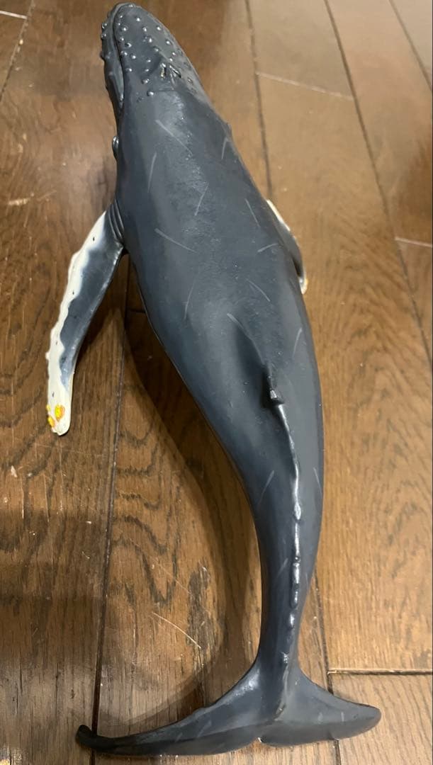 鯨　フィギュア　模型　ザトウクジラ　置物