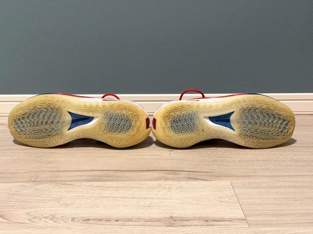 シューズ(男性用) Nike Air Zoom GT Cut Team USA 28cm