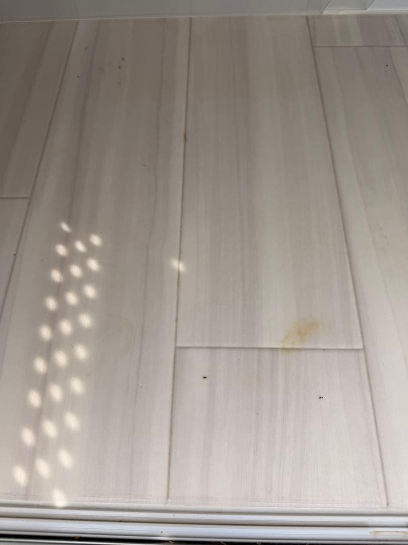 専用 引き取り限定 ポポのケージ 2段1段ラック セット