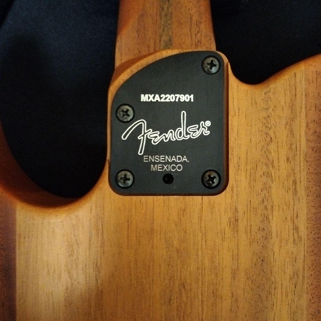 フェンダー　アコスタソニック　プレイヤー