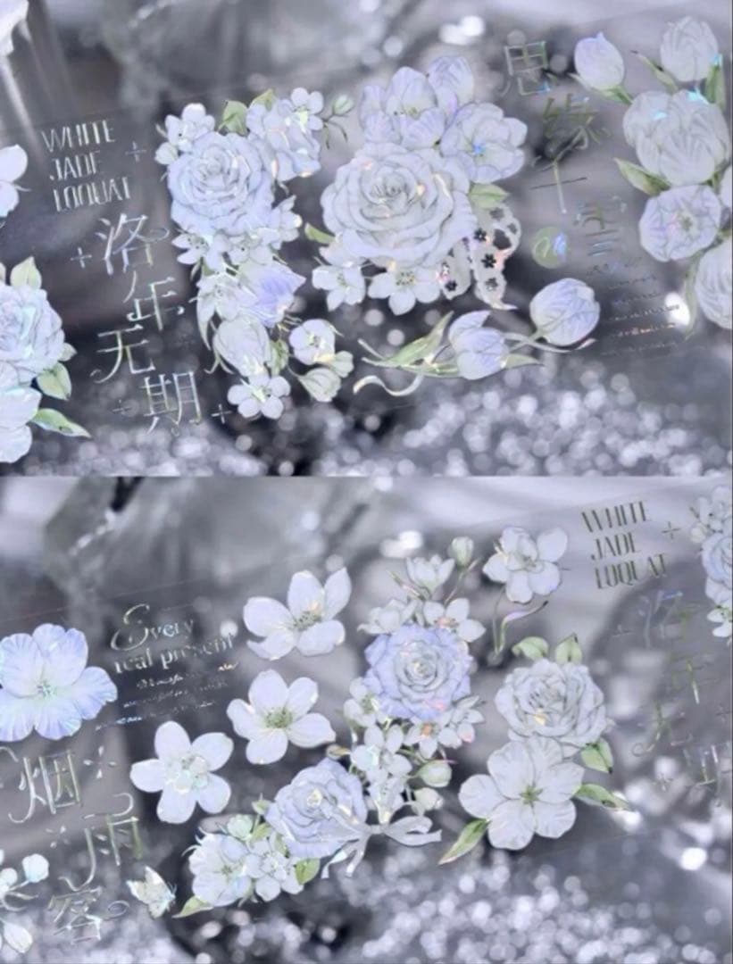 贝壳光 6cm×10m 素汐锦年 海外マスキングテープ　海外マステ　花