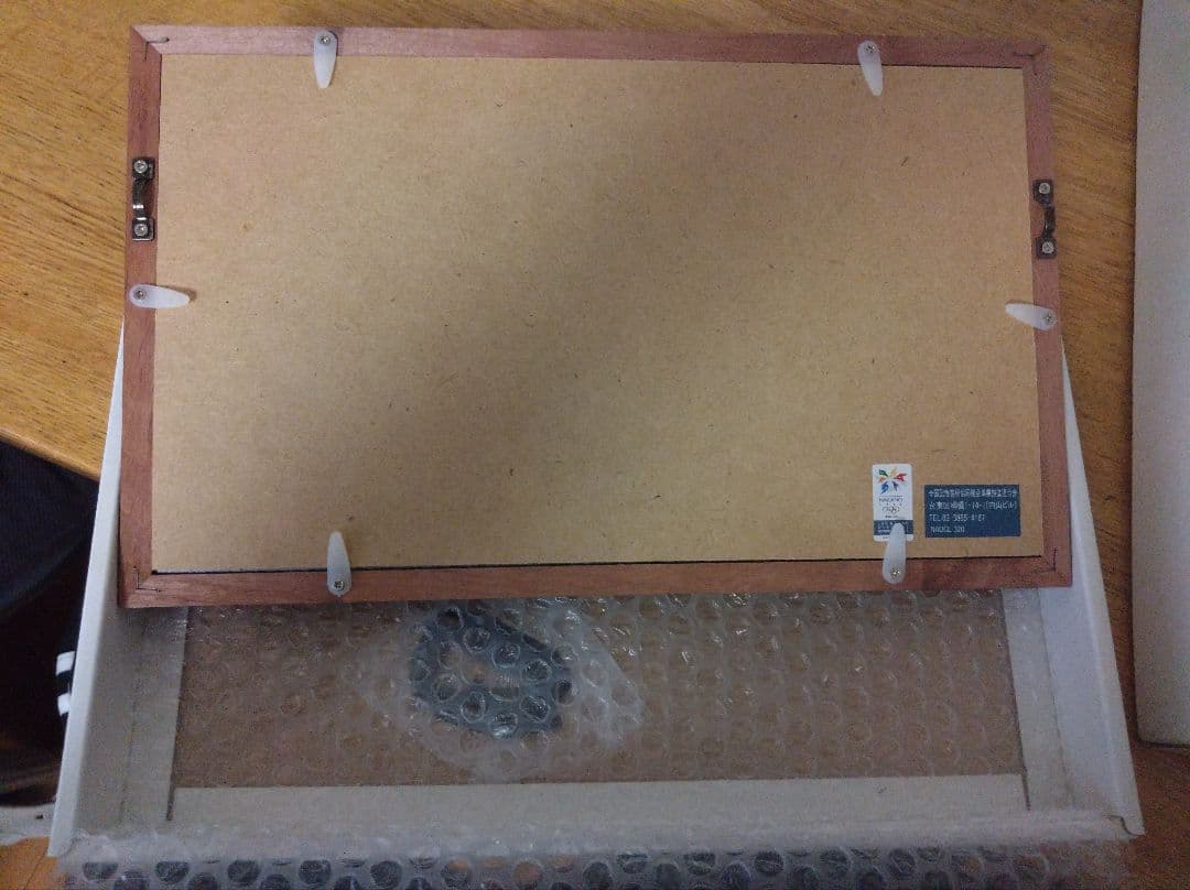 【限定品】長野オリンピック 額入りピンバッジ シリアルナンバー入り