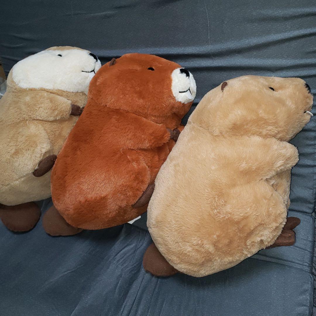 むっちりビーバーたっち ぬいぐるみ スーパー BIG 3個セット　バラ売り可