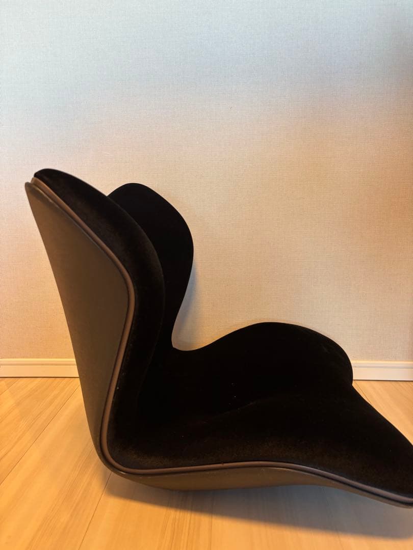 Style PREMIUM DX スタイルプレミアム デラックス