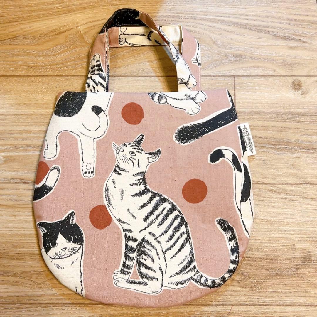 キラキラ⭐️　　花＆猫