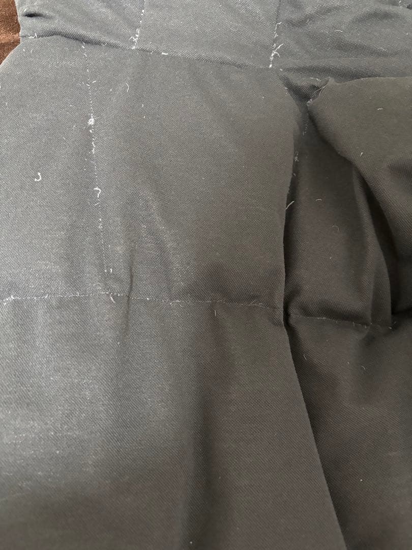 LACOSTE ピケダウンジャケットBH102LJ