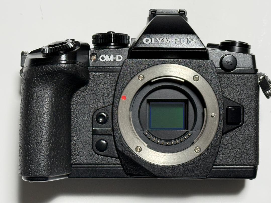 Olympus OM-D E-M1 レンズ12-40mm f2.8 pro 美品