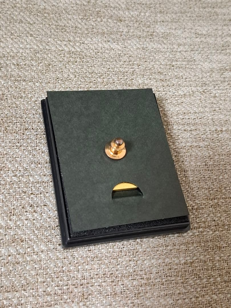 大阪ヘルスケアパビリオン 特別ピンバッジ