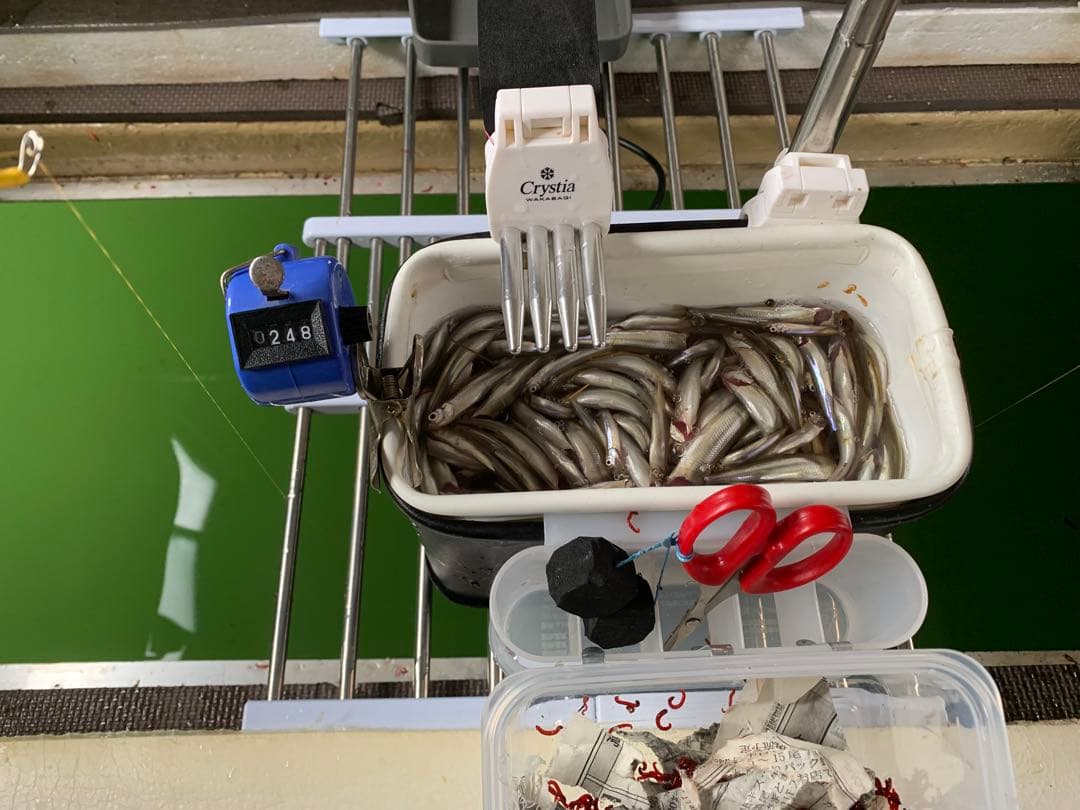 ワカサギステンレス穂先　　　２５８ミリ　　２本