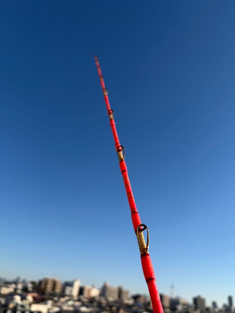 【剛樹】 Gエア 300 2.95M 錘負荷50-100号 GOUKI