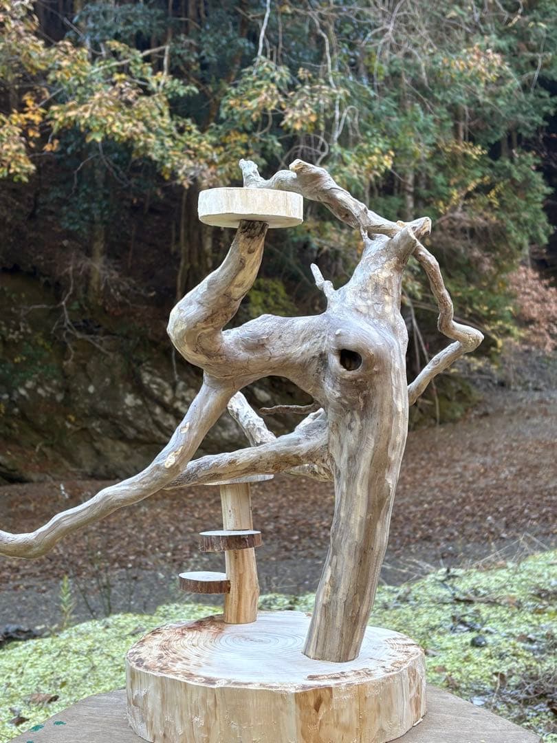 止まり木 kan_oqsm