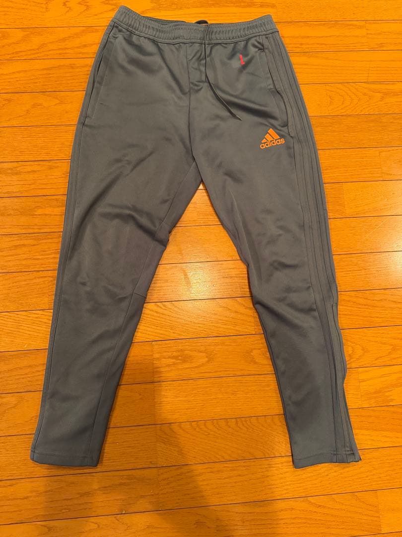 アルビレックス新潟公式練習着　ジャージ上下