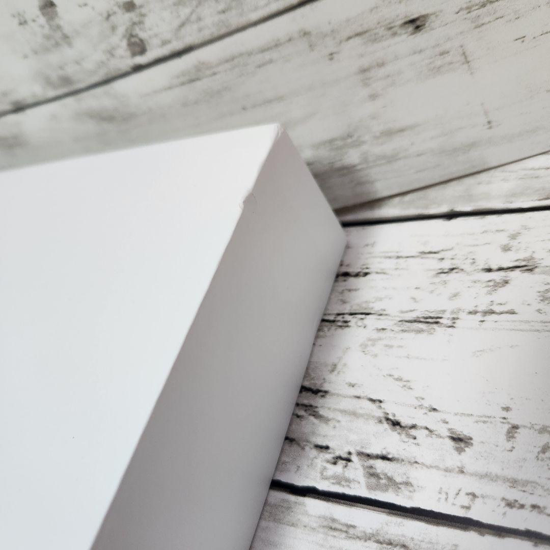 (値下げ中)【美品】デュアルモバイルモニター