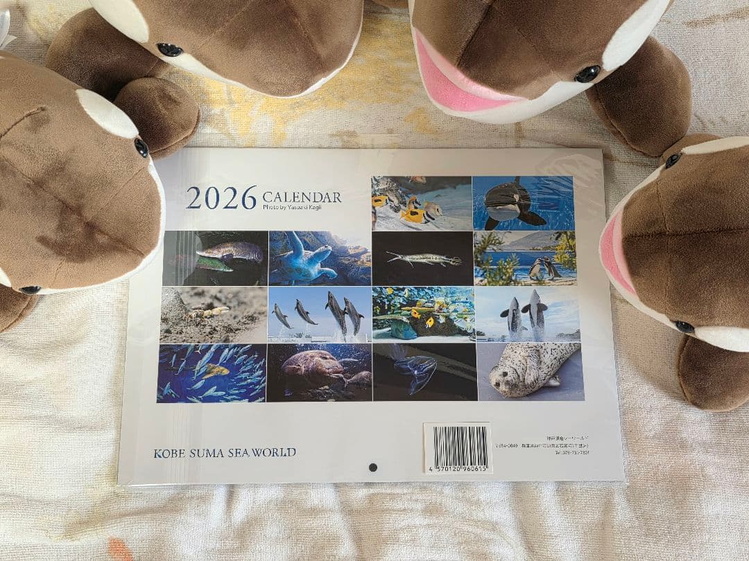 【圧縮なし・カレンダー付】須磨シーワールド オルカくじ バレンタイン限定 全種類