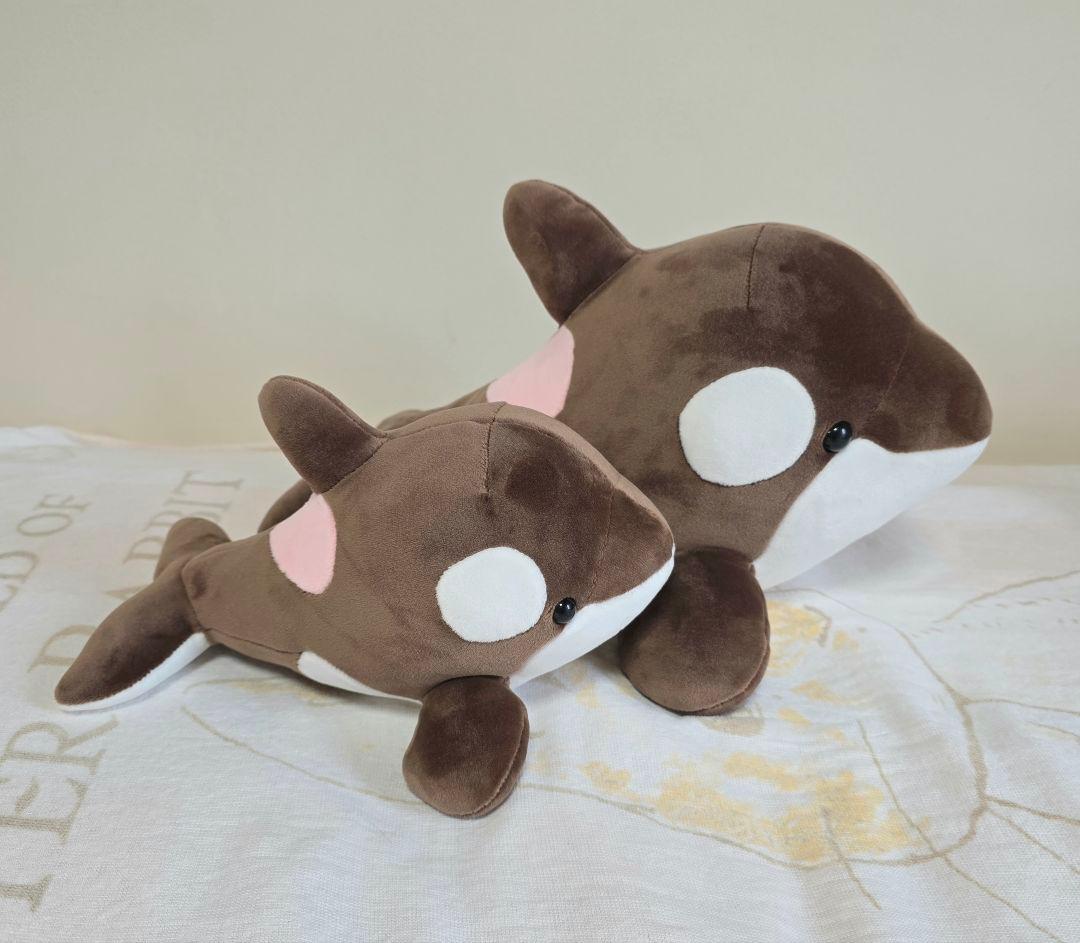 【圧縮なし・カレンダー付】須磨シーワールド オルカくじ バレンタイン限定 全種類