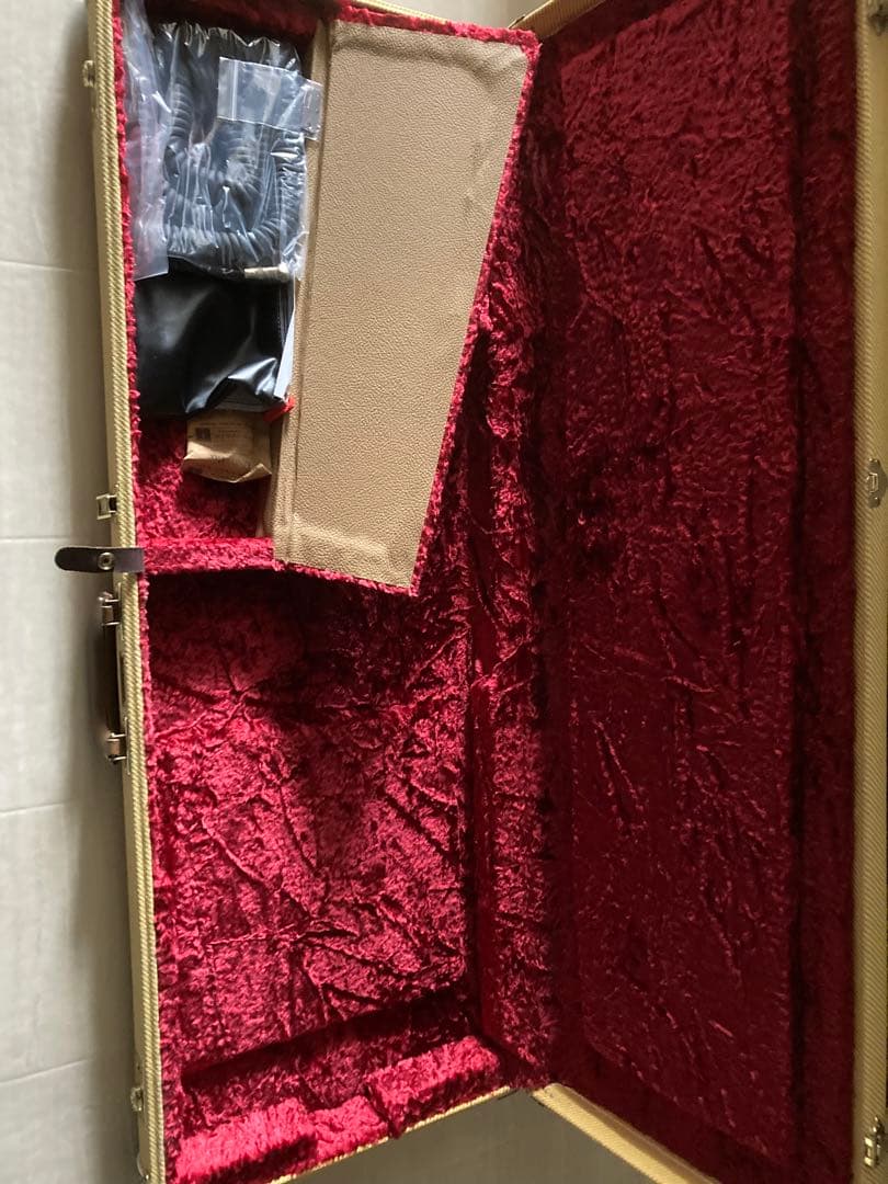 ギター fender jimmy page telecaster mirror