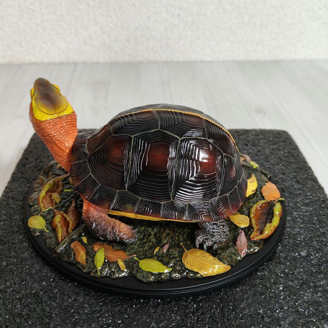 【動物の惑星】★セマルハコガメ★写実シリーズ.自然界第4弾!! フィギュア