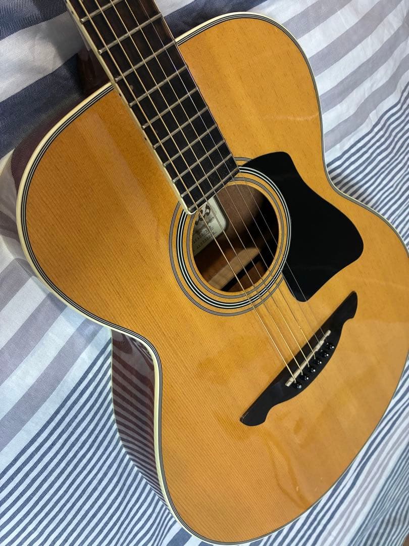 トップ単板James JF400 ＋ セミハードケースHOSCO AC-0703