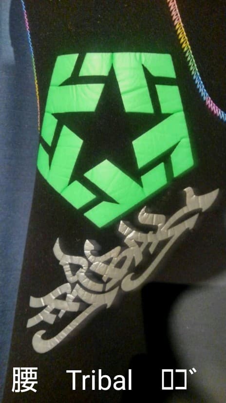 ☆☆Wetsuits 3mmシーガル TRIBALロゴ入り