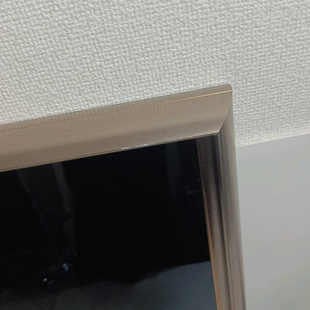 クリスタルアート アクリルアート インテリア ピクチャーアート 未来を信じて 馬