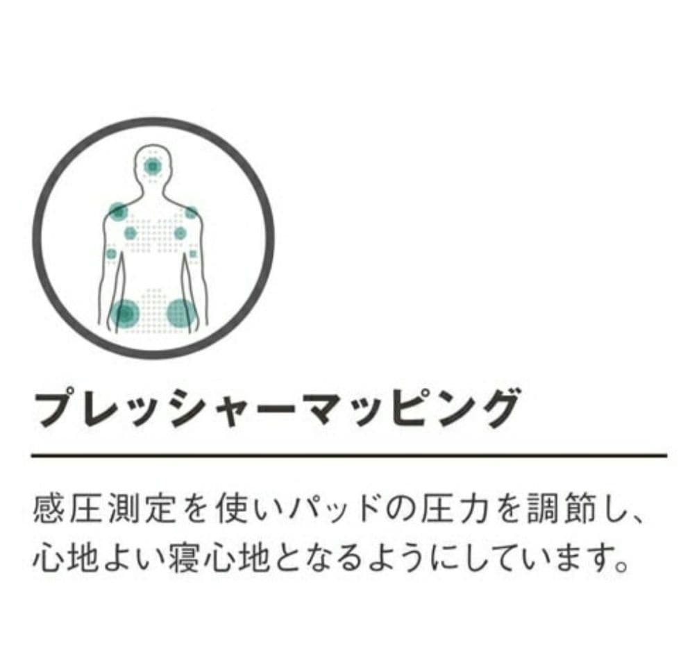 R6 サーマレスト ラグジュアリーマップ　インフレータースリーピングマット