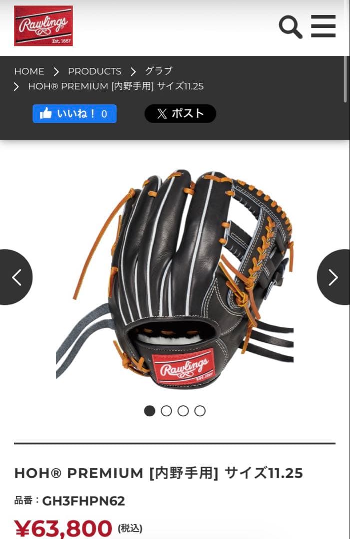 Rawlings Gold Glove 硬式グローブ