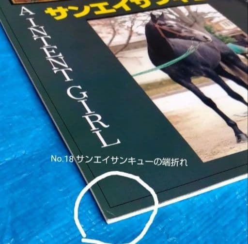 週間100名馬 Gallop 全巻100冊セット ＃ウマ娘