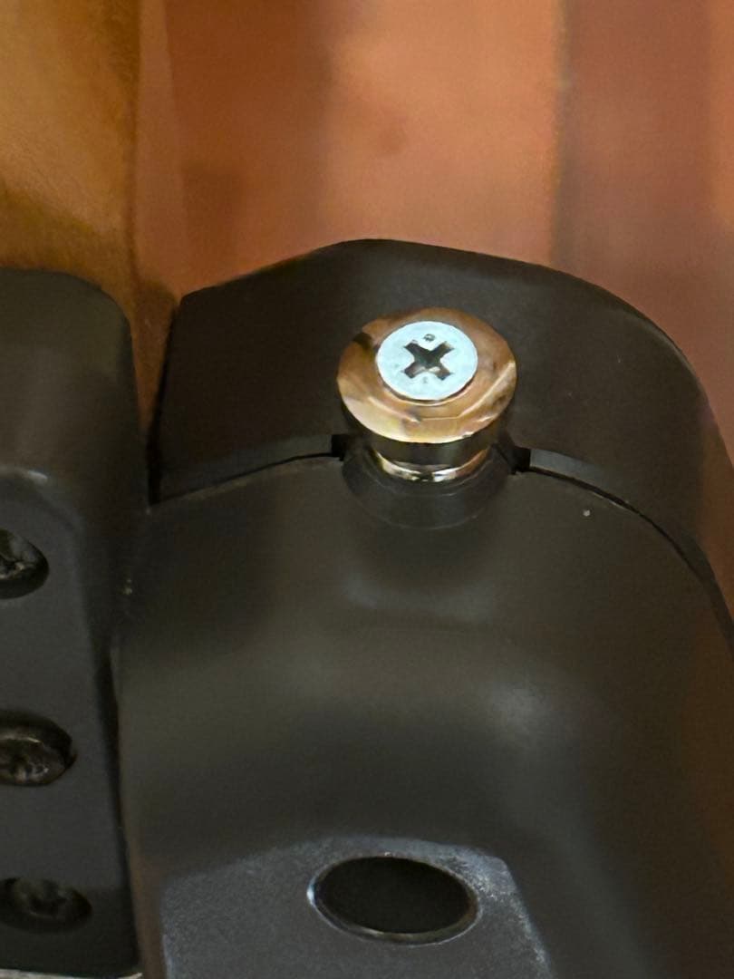 m*1様 さらに大幅値下げ！CASIO EG-5エレキング　専用ケース、専用アダ