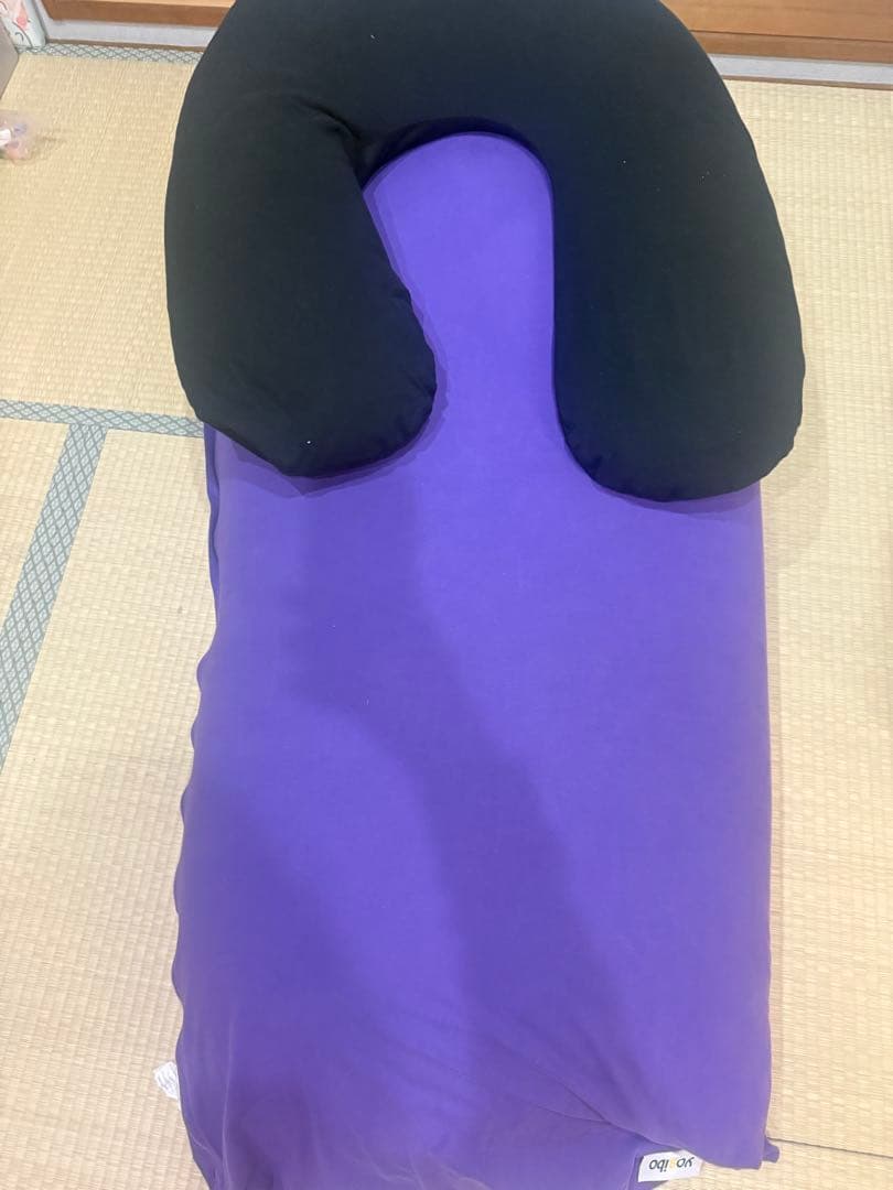 ビーズクッション・クッションソファ toshio611