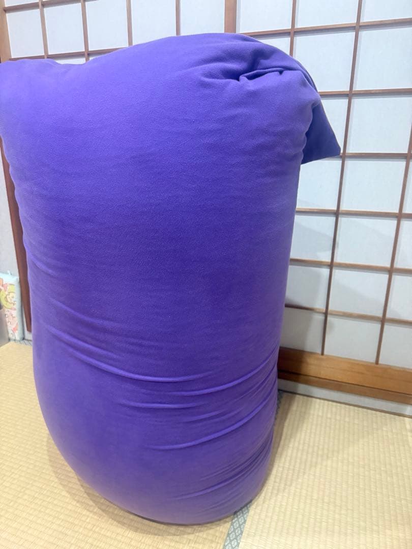 ビーズクッション・クッションソファ toshio611