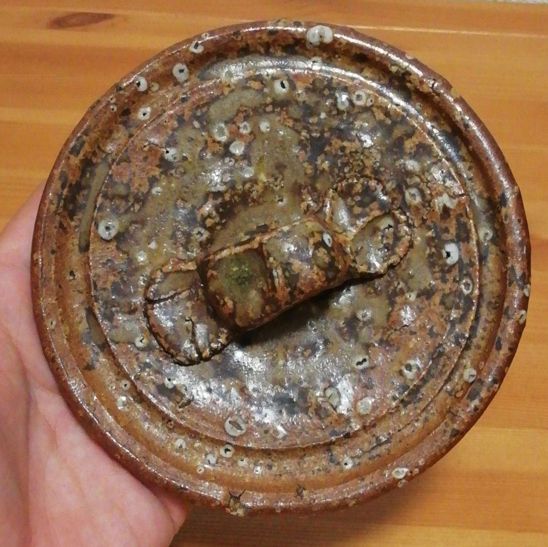 淡々斎書付　祥豊作　信楽焼　水指　共箱　茶道具