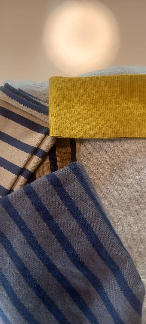 ボーダー袖の犬の服