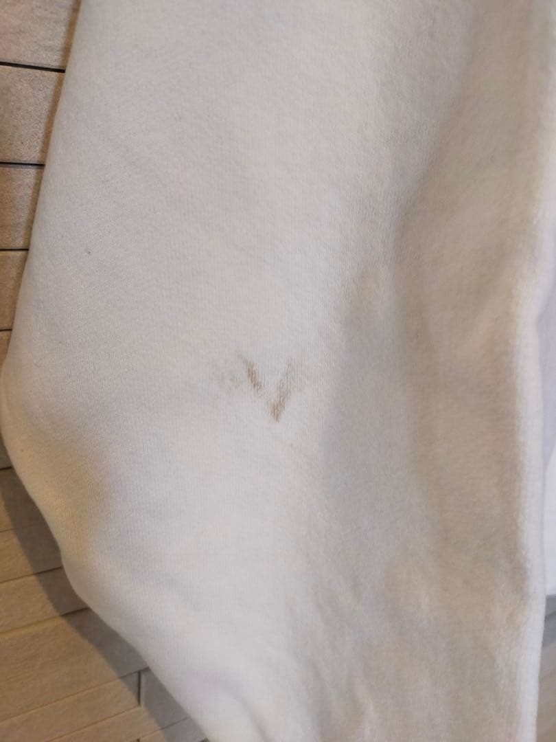 スウェット　古着　ビンテージスウェット　90s アインシュタイン　フルーツ　偉人