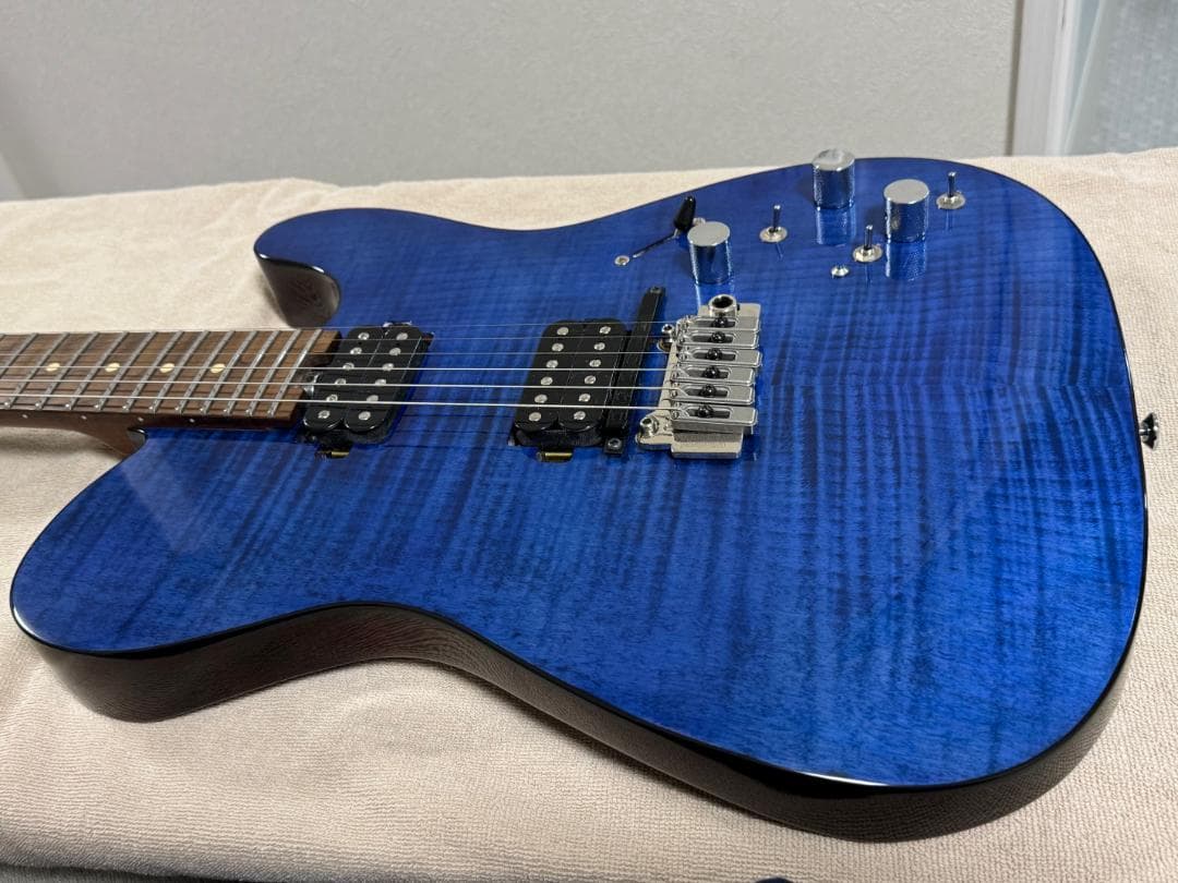 ギター Bacchus Global Series TACTICS24-FM-GK