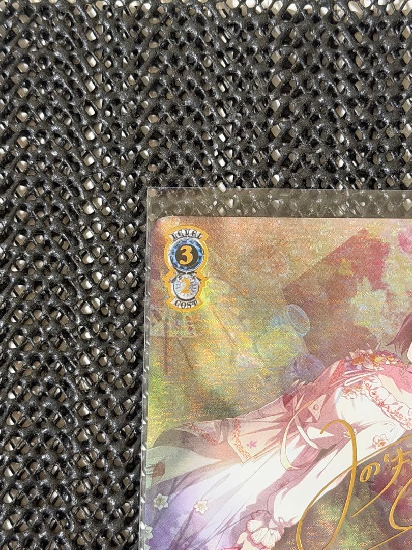 ws ヴァイスシュヴァルツ　諦めたくないから 東雲絵名 ssp サイン