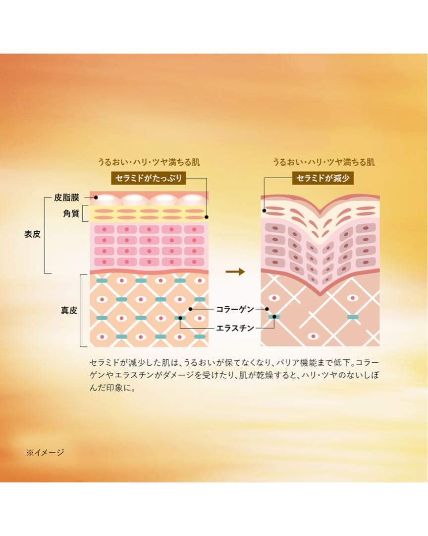 【新品未使用】ロクシタン　イモーテルディヴァインインテンシヴオイル30ml