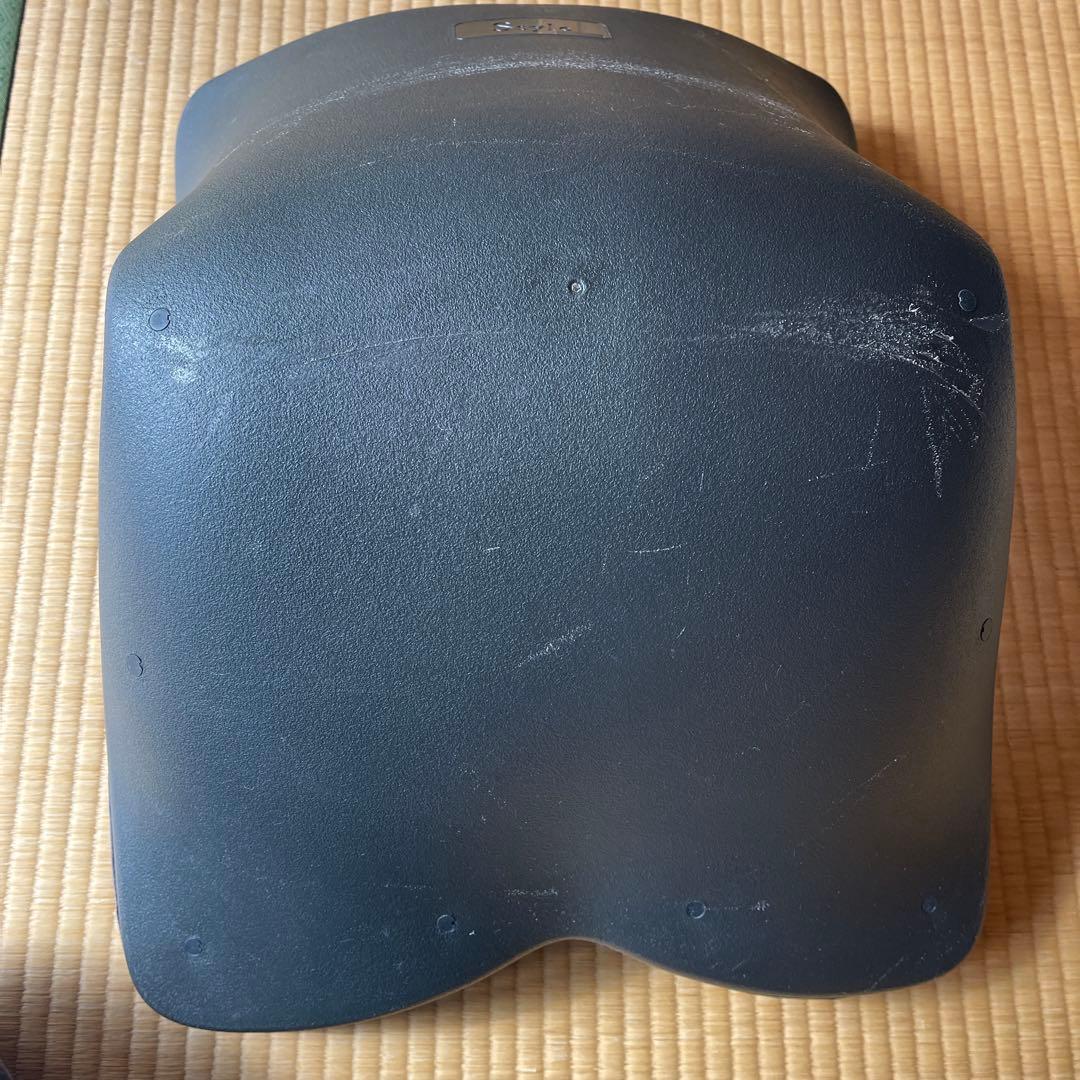 矯正用品・補助ベルト Style PREMIUM DX