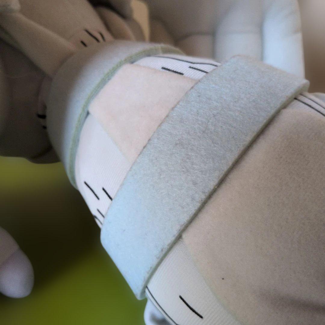 2010年 ポケモン レシラム ぬいぐるみ 一番くじ ベストウイッシュ