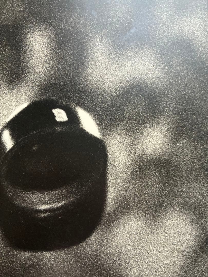 長嶋茂雄 パネル